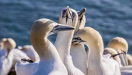 蘑菇频道这次没藏住：成长复盘里那句没说出口的话全被扒出来