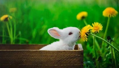 最被低估的一点关于17cc最新入口原创视频的播放清晰度，我整理了最短路径