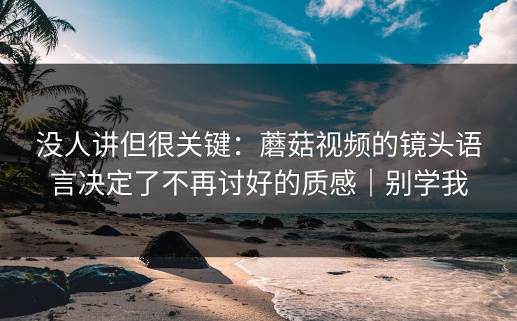 没人讲但很关键：蘑菇视频的镜头语言决定了不再讨好的质感｜别学我
